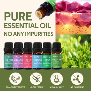 Essential <strong>Oil</strong> <strong>Set</strong> Aromatherapy Mint Tea Tree Lemongrass Eucalyptus Lavender Body <strong>Massage</strong> Essential <strong>Oil</strong> <strong>Set</strong> - Product Image 6