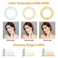 10 pouces LED photographie anneau lumière Selfie lampe anneau lumière avec support de téléphone pour vidéo pour Youtube Live Tik Tok