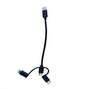 3'ü 1 Arada Tip-C USB Kablosu 3A Hızlı Şarjlı Powerbank Promosyon İş Hediyesi Seti CE ROHS FCC Sertifikalı - Product Image 2