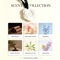Tablettes de cire aromatiques sculptées en forme de fleur blanche exquise, sachets parfumés pour armoire, voiture, maison, placard, rafraîchisseur d'ambiance