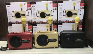SD502/SD501 10W <strong>Wireless</strong> Speaker System with Type C Connector KTV Karaoke <strong>Microphone</strong> for Conference Use - Product Image 2