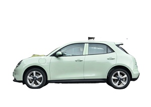 Autos Eléctricos Usados de Segunda Mano 2025 GWM ORA Good Cat 401km Vehículo Compacto Clásico - Product Image 2