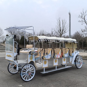 Charrette de tourisme, charrette à chevaux européenne, chariot, calèche, calèche de mariage en forme de citrouille, calèche électrique à chevaux - Product Image 3