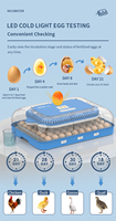 WONEGG Nouvelle couveuse à œufs de poulet mini, bleue et élégante, capacité 70 œufs, en vente