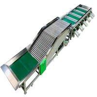Fruit- en groentesorteermachine, appel- en tomatensorteermachine/sinaasappelsorteermachine/fruit sorteer- en verwerkingsmachine