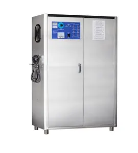 Industry Ozone Generator Fruit And Vegetable Cleaning Machine Ozone Generator For Air Sterilization
