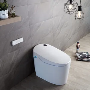 पर्यावरण स्मार्ट स्वत: बुद्धिमान शौचालय सभी में एक शौचालय OEM ODM आसान DIY स्थापना गर्म हवा ड्रायर गरम सीट