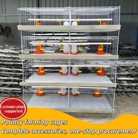 Système de cages à cailles galvanisées à plusieurs niveaux, cage d'élevage automatique pour pigeons, cages de couvaison pour volailles