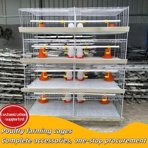 Système de cages à cailles galvanisées à plusieurs niveaux, cage d'élevage automatique pour pigeons, cages de couvaison pour volailles - Product Image 4