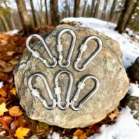 Mousqueton à ressort Hi Dude 6CM avec verrouillage à vis en acier au carbone galvanisé pour usage industriel général