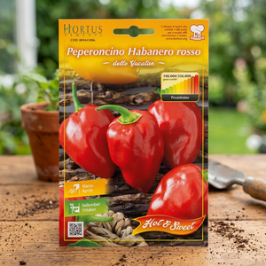 Semi Orto Peperoncino Habanero Rojo - Product Image 3