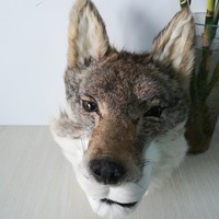 Décoration de Noël, modèle d'animal simulé en fourrure, têtes de tigre d'église, masque de loup réaliste, animaux en peluche faits à la main