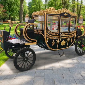 Charrette de transport spéciale populaire pour mariages royaux, chariot électrique de tourisme, calèche à chevaux à vendre - Product Image 1