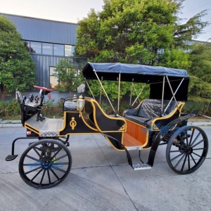 Carrosse de Victoria pour le tourisme, transport spécial, carrosse électrique de mariage pour le tourisme, prix d'usine, à vendre - Product Image 2