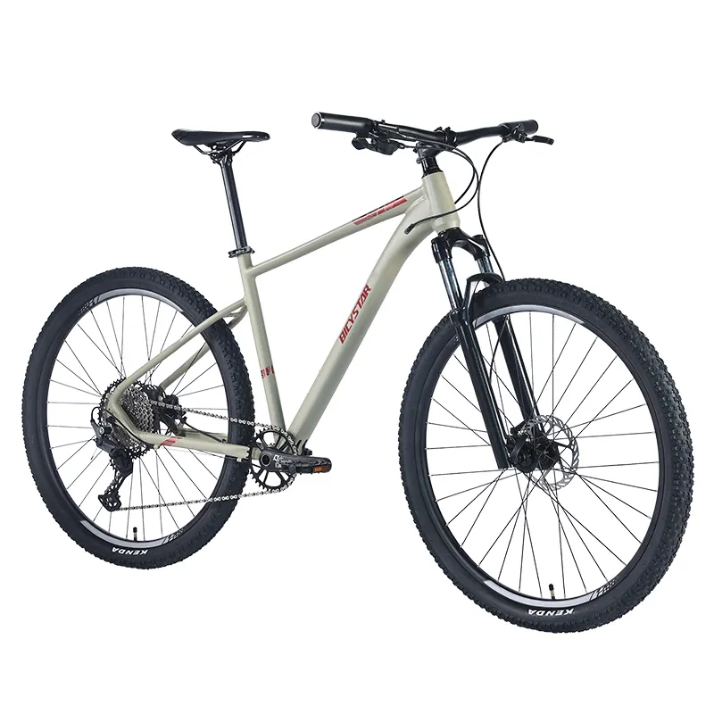 Venta caliente de bicicleta 29 Cuadro de carbono MTB 28 pulgadas para hombre bicicleta de montaña para la venta