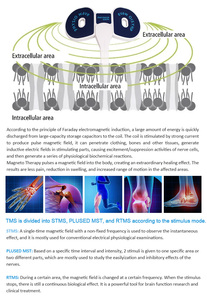 อุปกรณ์บำบัดด้วยคลื่นแม่เหล็กไฟฟ้าแบบยืนรุ่นใหม่ บรรเทาอาการปวดทั่วร่างกาย เสริมสร้างภูมิคุ้มกัน กระตุ้นการเผาผลาญ กันน้ำได้มาตรฐานสหรัฐอเมริกา - Product Image 4