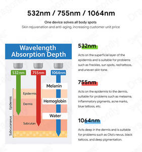 Nouveau laser picoseconde Nd Yag professionnel 2025 pour l'élimination des tatouages et des pigments cutanés, équipement de beauté, UE/Royaume-Uni - Product Image 5