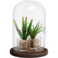 Cloche en verre avec base en bois rustique, dôme décoratif transparent pour l'exposition de plantes, de curiosités, de souvenirs et d'objets de famille