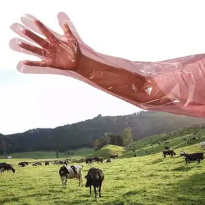 Produkte Veterinär handschuhe Lange Handschuh Armlänge Kunststoff Befruchtung Rektale lange Handschuhe Einweg-Vollarm für Feld verband