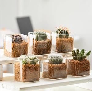 <span class=keywords><strong>Vase</strong></span> cube carré en verre 4x4 jardinière en verre et <span class=keywords><strong>vase</strong></span> hydroponique oblate de bureau bocaux à <span class=keywords><strong>bougie</strong></span> avec support en bois pour plantes aquatiques - Product Image 5