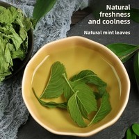 Feuilles de menthe séchées aux herbes chinoises, Mentha sans additifs, vertes, propres et saines, infusion d'herbes du Guangxi pour le thé et les cocktails