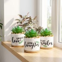 Pot de fleurs en céramique rétro personnalisé, petit Cactus, tapis de plantes succulentes blanches avec plateau en bambou