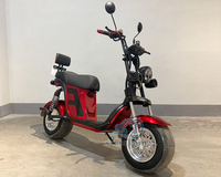 Chargeur Citycoco pour motos électriques à 2 roues pour adultes, moto électrique 1000w