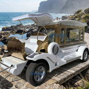 Cercueil funéraire de haute qualité, électrique/à chevaux, à prix d'usine bas, transport spécial - Product Image 1