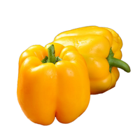 Proharvest OEM Brands Légumes surgelés IQF, Lanières de poivron jaune, Tranches de capsicum jaune surgelées, avec BRC