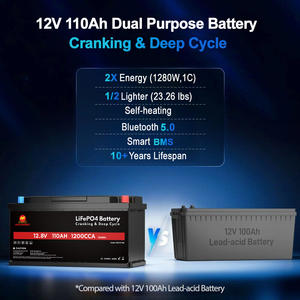 Batteria al litio a doppio scopo LiFePO4 12V 24V 100Ah 200Ah 300Ah Start batteria per camper Marine RV Motorhome - Product Image 5