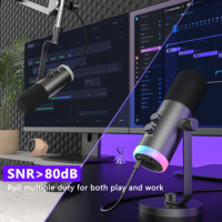 Microphone personnalisé en gros fabriqué en Chine, microphone filaire pour karaoké