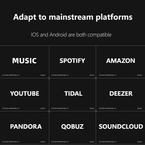 Coeus HD Ảnh Ba Chiều Chiếu 360 Ba Chiều Lời Bài Hát Bluetooth Loa Hi-Fi Âm Thanh Chất Lượng Trong Nhà Sử Dụng Màn Hình LED Ứng Dụng/PC Nội Dung - Product Image 5