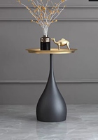 Table d'appoint en marbre Table basse Meubles de salon en métal Lumière de luxe Petite table moderne en acier inoxydable de haute qualité