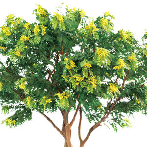 Árbol Artificial <span class=keywords><strong>de</strong></span> Cassia <span class=keywords><strong>de</strong></span> Seda y Plástico en Oferta, 2.8m, Duradero y Ecológico, para Interiores, Centros Comerciales, Hoteles y Paisajismo - Product Image 4