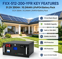 Batería de Almacenamiento LiFePO4 de 150A con BMS Integrado para Montaje en Rack, 51.2V 200Ah 10.24kWh, Larga Vida Útil, Múltiples Puertos de Comunicación