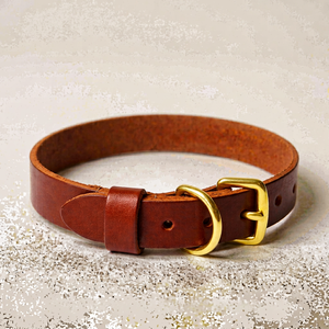 Collar de Cuero Urban Luxe para Perros, para Colecciones de Moda Moderna para Mascotas de Divine International - Product Image 1