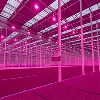 Serre tunnel agricole entièrement automatique en tôle de PC pour système hydroponique à privation de lumière - Grande Vente