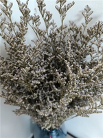 LUYI-Gedroogde Natuurlijke Bloemen Groothandel Caspia Misty Limonium Gedroogde Limonium Bloemen Gras Gedroogde Bloemen