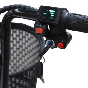 Triciclo Eléctrico de Fábrica de 350W y 48V para Adultos, Bicicleta Motorizada de 3 Ruedas con Marco Abierto para Carga/Transporte de Pasajeros CKD - Product Image 5