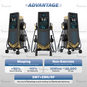 Máquina de Adelgazamiento Perfectlaser HI-EMT EMS con 4 Manijas y Radiofrecuencia para Desarrollo Muscular, Quema de Grasa y Entrenamiento del Suelo Pélvico - Product Image 5