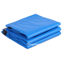 4mil 5mil Poly Bâche 60gsm 80gsm Bâche PE étanche légère pour usage domestique Motif enduit pour garçons et filles