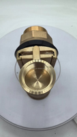 DZR Pitless 1 pouce FNPT X 1 pouce Adaptateur pour pompe à eau submersible sans plomb en laiton forgé FNPT