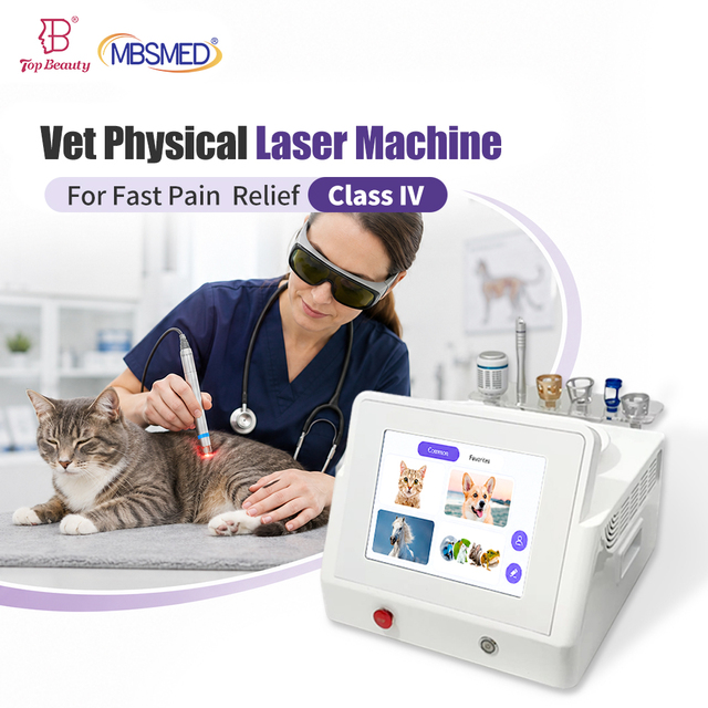 Class IV 30W High Intensity 980nm 650nm Veterinary Laser Therapy Machine for Equine Deep Tissue Healing