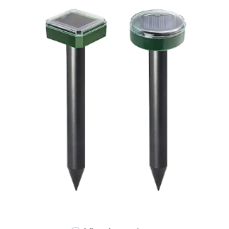 Green05