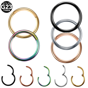 10 pcs/lot titane articulé Segment nez anneaux mamelon Clicker oreille Cartilage Tragus hélice lèvre Piercing pour unisexe bijoux 16G & 14G - Product Image 5
