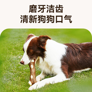 Jouet à mâcher pour chien Dog's Good Toys, en forme de branche d'arbre en cuir de vache, avec saveur de viande, pour la dentition et le jeu - Product Image 4