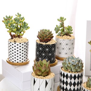 2023 Offre Spéciale fournisseur style nordique motif géométrique cylindre pot rond avec trou de drainage pots de fleurs en céramique pour la décoration intérieure - Product Image 4