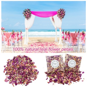 Eloman fiore secco petalo Pop decorazione per feste biodegradabile floreale addio al nubilato compleanno 100% naturale matrimonio rosa coriandoli - Product Image 2