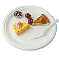 Assiettes jetables en bagasse de canne à sucre pour mariage et anniversaire, avec support, 7/8.6/9/10 pouces