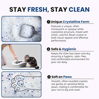 Échantillons Gratuits – Gel de Silice Cristallin Biodégradable Ultra-Absorbant Écologique à Agglomération Rapide, Anti-Odeur et Sans Poussière pour Litière de Chat 5kg